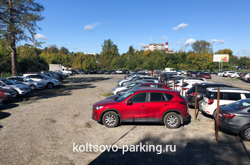 Парковка в Кольцово